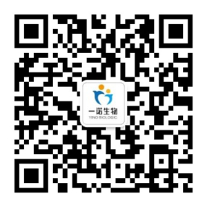 嫩叶草满18点此进