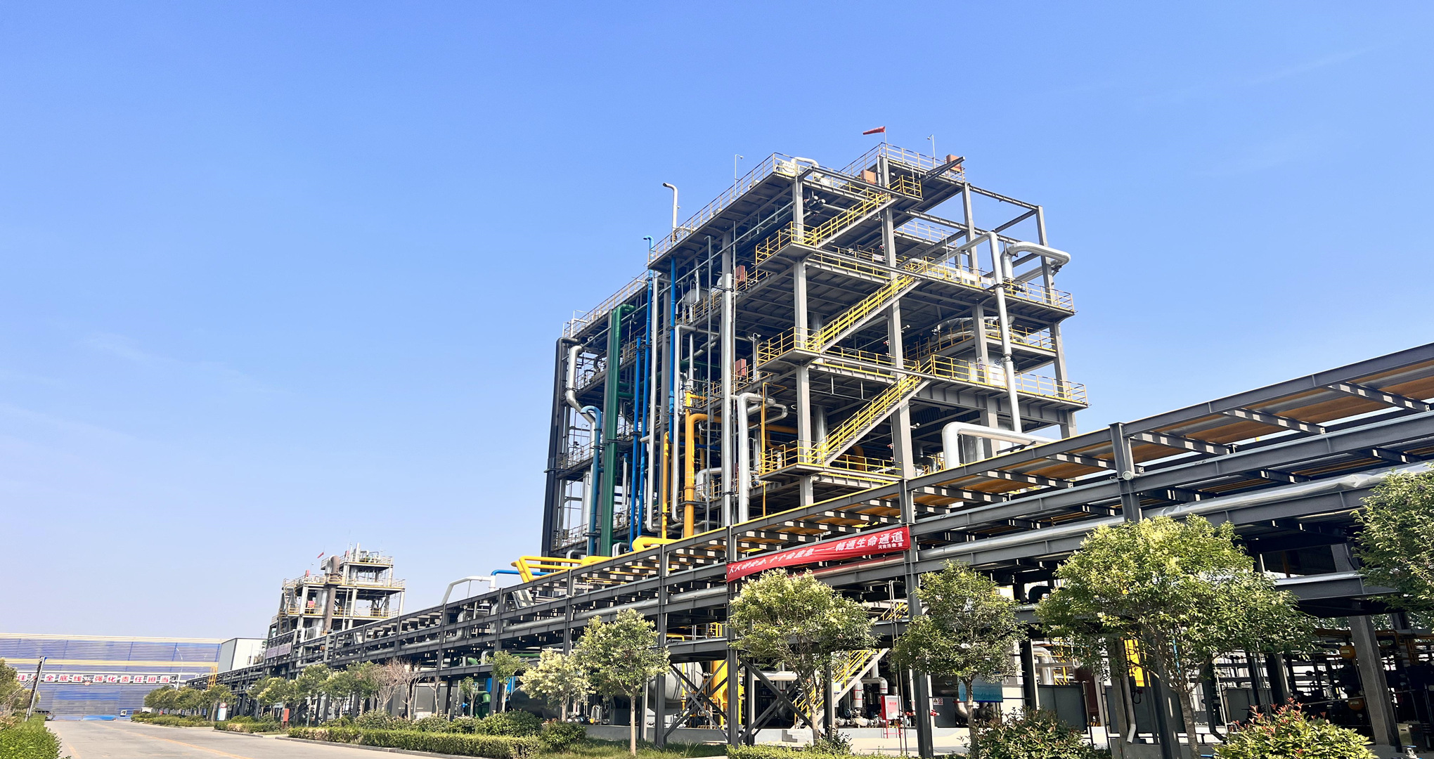 嫩叶草满18点此进