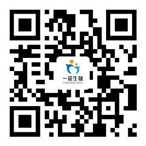 嫩叶草满18点此进