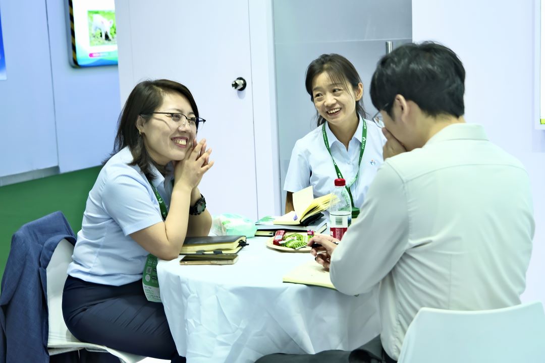 嫩叶草满18点此进