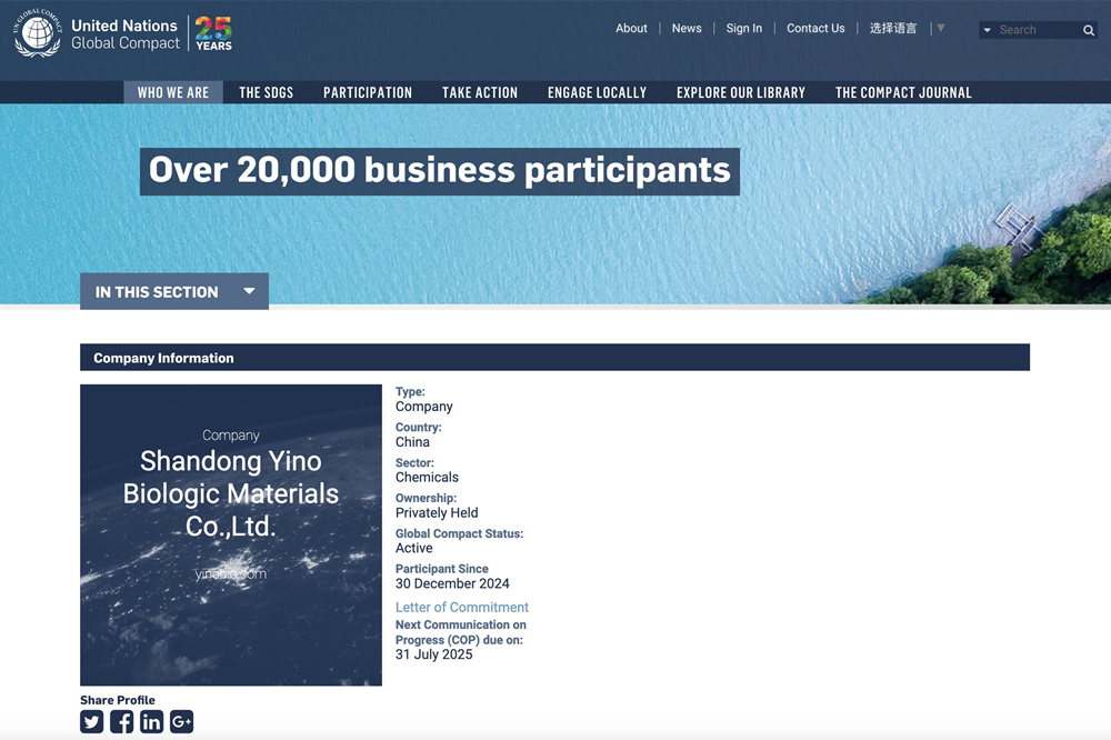 嫩叶草满18点此进