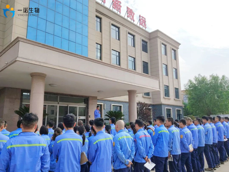 嫩叶草满18点此进