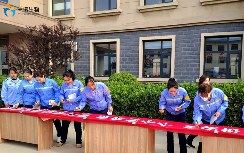 嫩叶草满18点此进