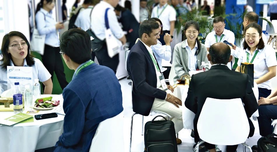 嫩叶草满18点此进