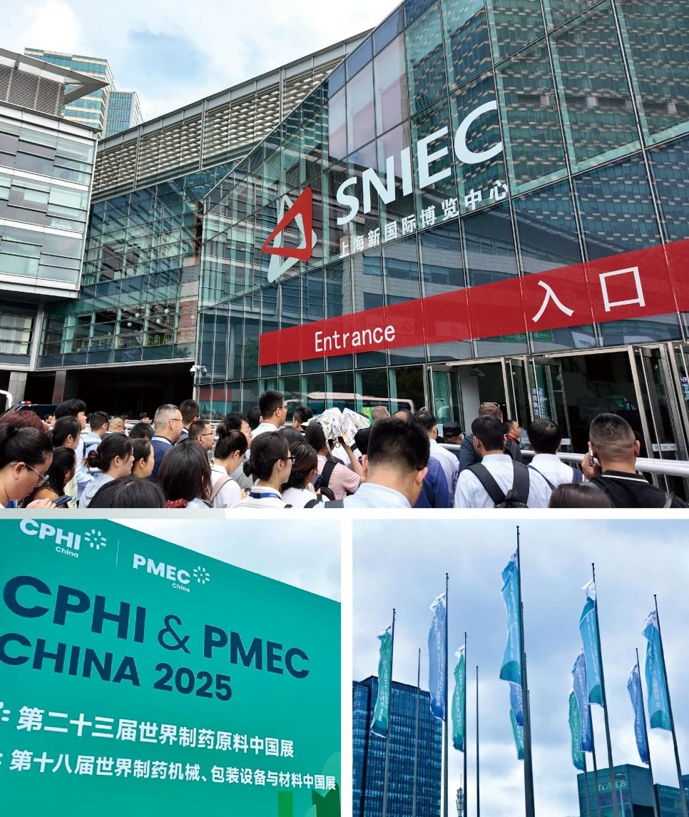 嫩叶草满18点此进